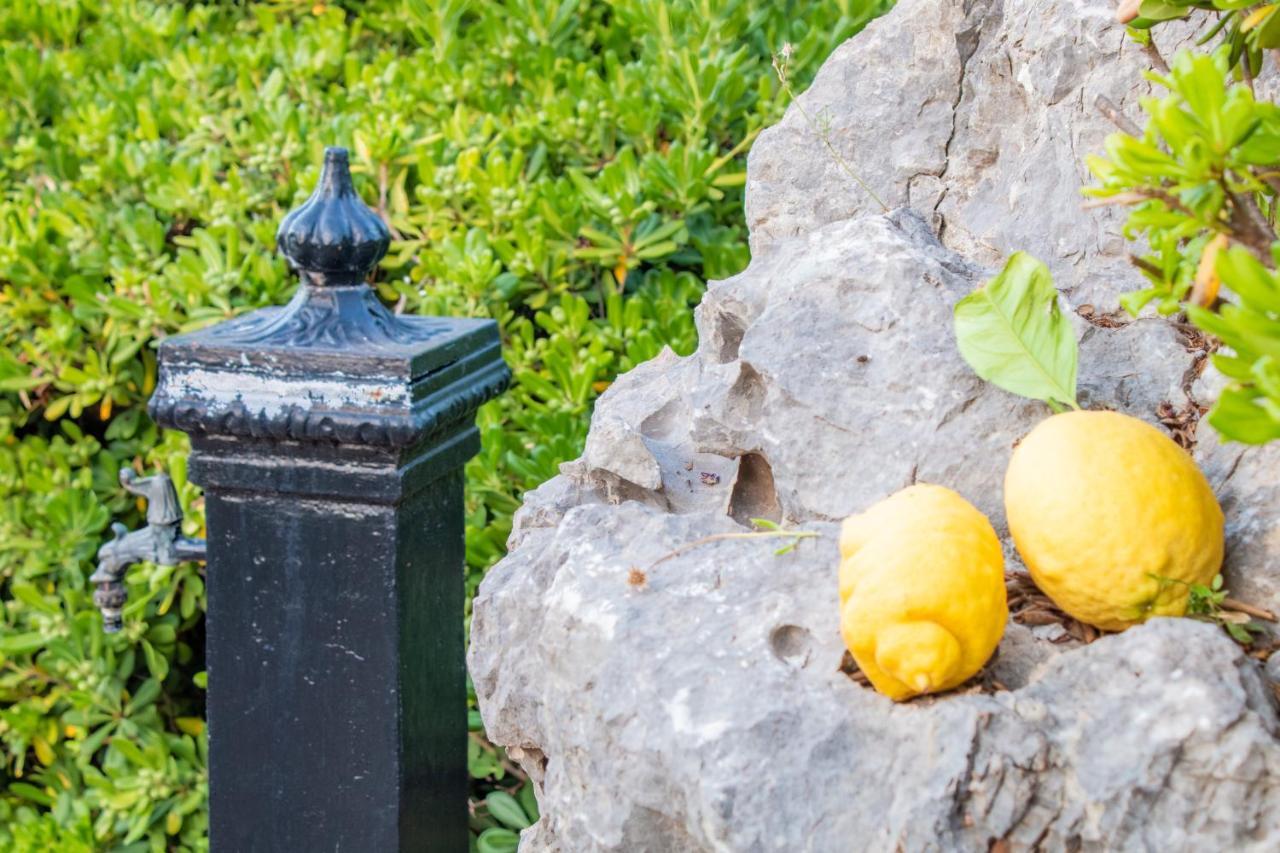 Villino Agave Villa ซานวิโต โลคาโป ภายนอก รูปภาพ