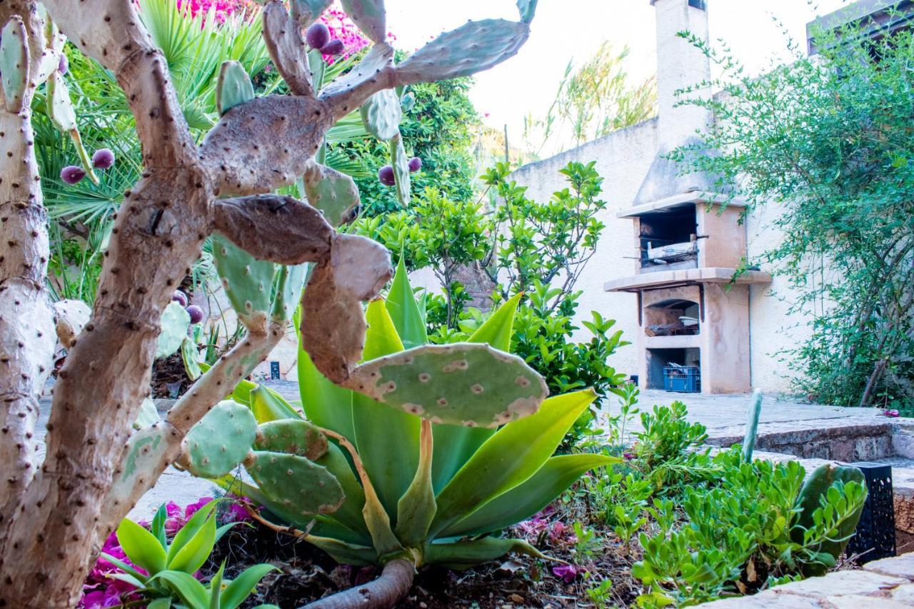 Villino Agave Villa ซานวิโต โลคาโป ภายนอก รูปภาพ